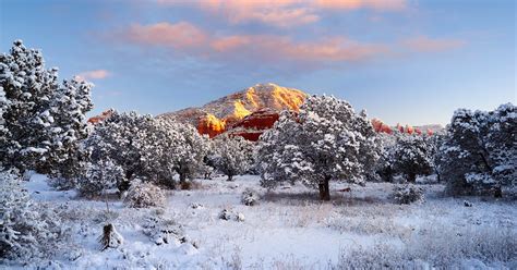 Snow Just Fell In Arizona Desert And Even Though These 17 Photos Look Beautiful, It Might Be A ...