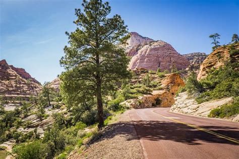 Zion Canyon Scenic Drive (Zion National Park) - 2020 All You Need to Know BEFORE You Go (with ...