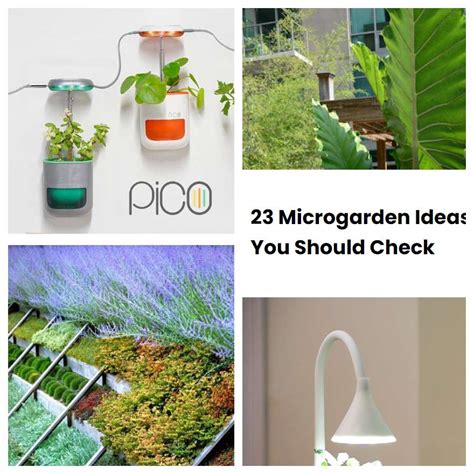 23 Microgarden Ideas You Should Check | SharonSable