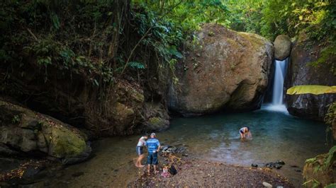 Hiking-Corcovado-National-Park-from-Sirena-to-Carate-station - Explore ...