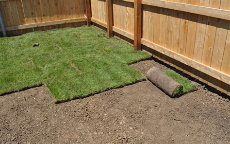 How to Install Sod Grass and How Much to Water Sod - Grass Pad