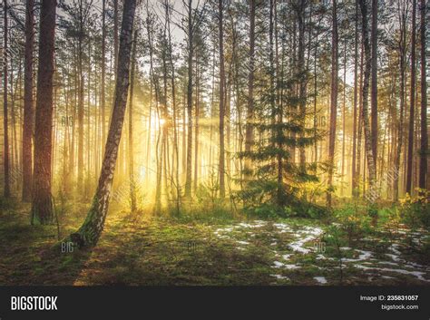 Bright Sunrise Image & Photo (Free Trial) | Bigstock