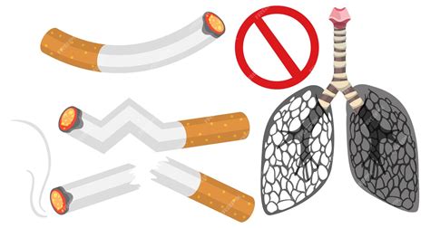 Premium Vector | Set of stop smoking using for sign and icon