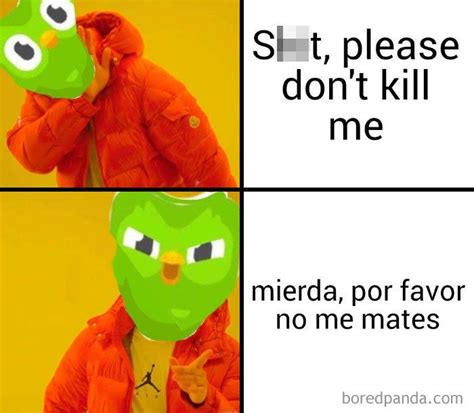 30 Hilarious Duolingo Memes | Memes sarcastic, Duolingo, Hilarious