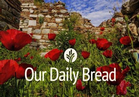 Our Daily Bread 15 February 2022 || ODB Devotional For Today