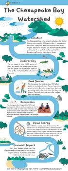 Infographic: Big Facts About the Chesapeake Bay Watershed by Thee Bee Hive