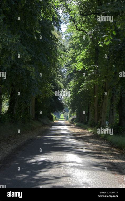 Forde abbey and gardens Stock Photo - Alamy