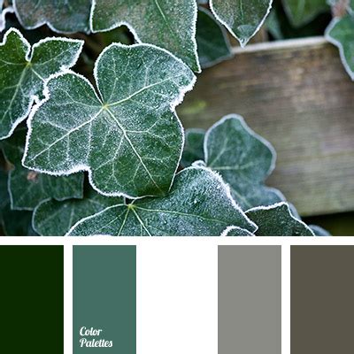 selection of color combination for living room | Color Palette Ideas