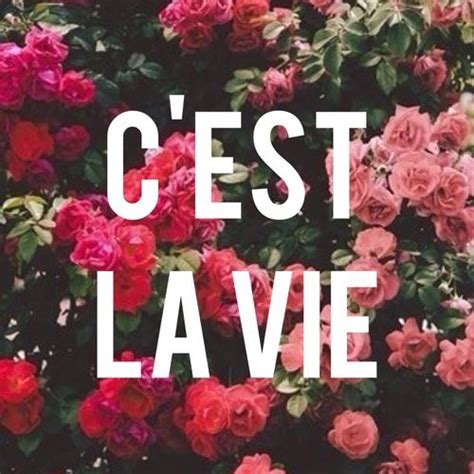 C'est la vie! | Quotes & Sayings | Pinterest