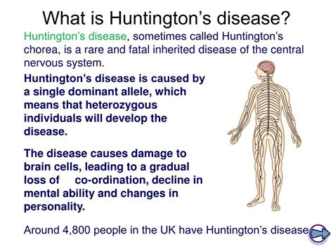 PPT - Huntington’s Chorea PowerPoint Presentation, free download - ID ...