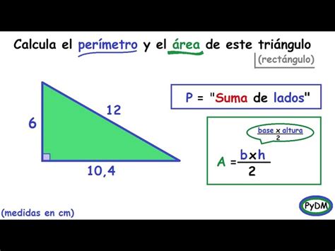 Sureste Naturaleza Respecto a como calcular el area y el perimetro de un triangulo rectangulo ...