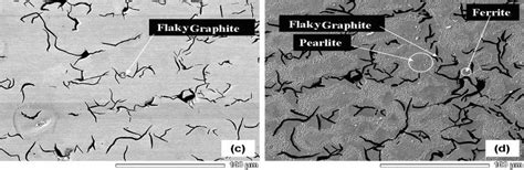 Microstructure of Gray Cast Irons, (a) un-etched and (b) etched... | Download Scientific Diagram