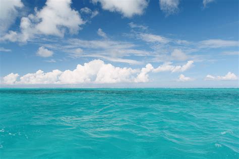 Why Is the Ocean Blue and Sometimes Green?