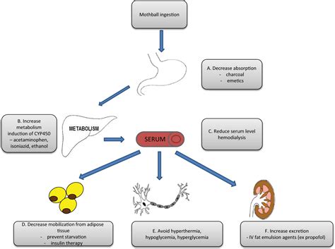 Para-dichlorobenzene toxicity – a review of potential neurotoxic ...