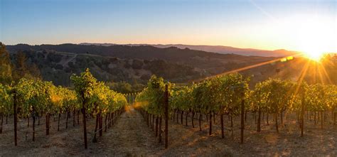 The 10 Most Beautiful Wineries in Napa Valley - NapaValley.com