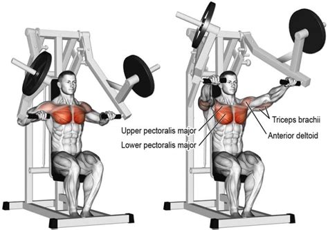 Best Bench Press Alternatives For A Big, Powerful Chest – Fitness Volt