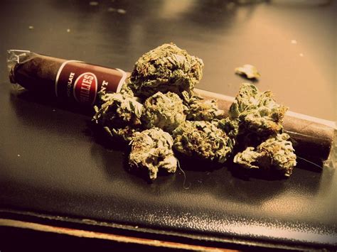 Blunts Wallpapers - Wallpaper Cave