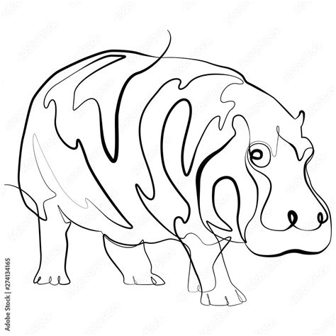 Hippo one line drawing. Africa Animal continuous line sketch Vector Stock Vector | Adobe Stock