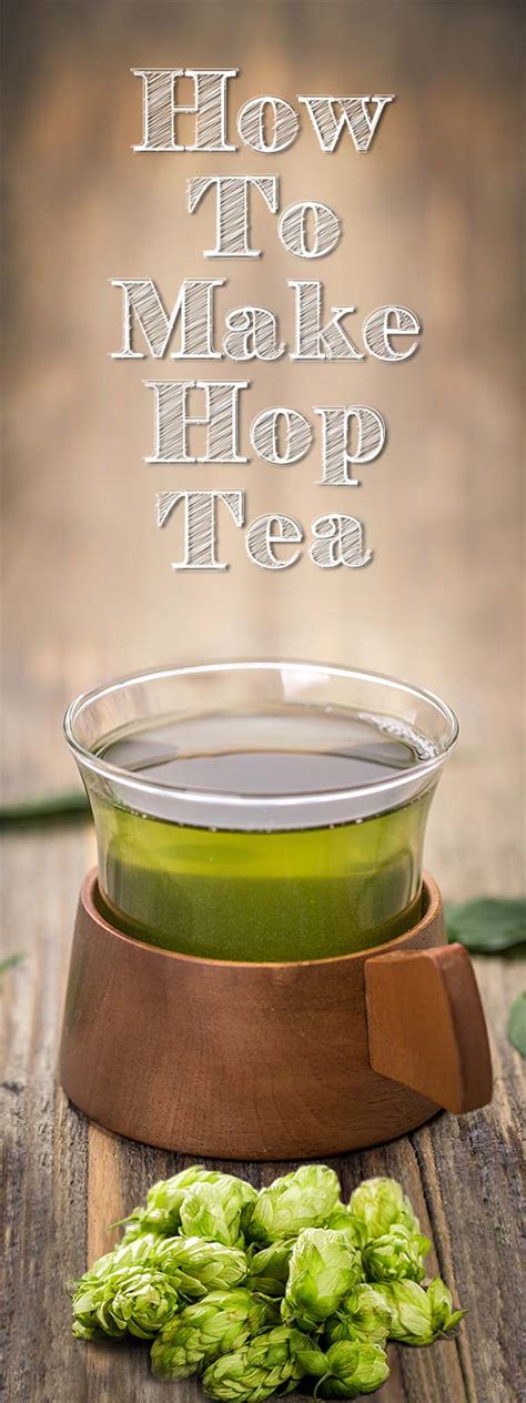 How to Make Hop Tea :: Kegerator.com