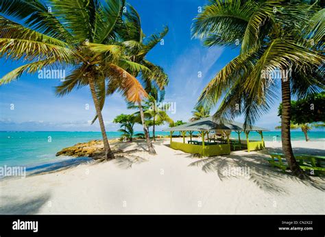 Pigeon Point beach, Tobago Stock Photo, Royalty Free Image: 47392858 - Alamy