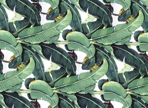 Free download Banana Leaf Pattern Banana leaf chic [730x531] for your Desktop, Mobile & Tablet ...