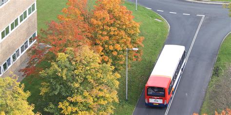 Underpass closure - bus schedule changes (24 July to 25 August) - Lancaster University