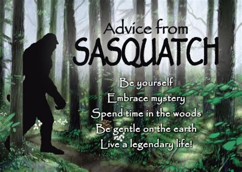 Advice from Sasquatch Jumbo Magnet – Your True Nature, Inc. | Nature quotes, Advice quotes, Advice