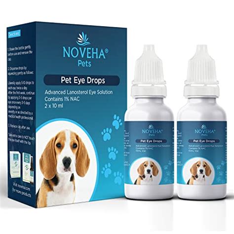 New Study Finds The Best Eye Drops For Treating Cataracts In Dogs