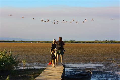 Meet a wetland: The Ebro River Delta, Cataluña (Spain) | MedWet