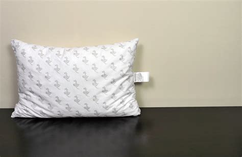 My Pillow Review | Sleepopolis