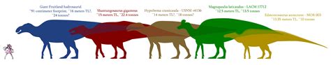 Giant Hadrosaurids Size Comparison by SpinoInWonderland on DeviantArt