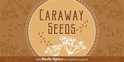 Bulk Herbs & Spice Feature: Caraway Seeds | Mama Jean's Natural Market