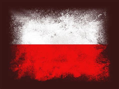 Poland flag Digital Art by PsychoShadow ART - Fine Art America