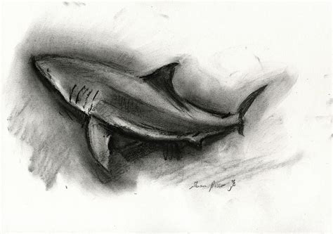 Great white shark drawing Painting by Juan Bosco - Pixels