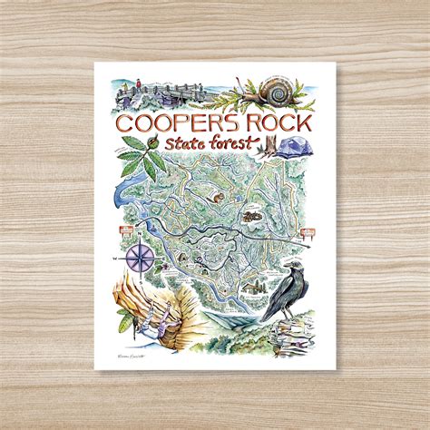 Coopers Rock State Forest - Watercolor Illustrated Map – Rosalie Haizlett Illustration