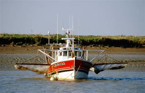 File:Pibalier (bateau de pêche à la civelle) (2).jpg - Wikimedia Commons