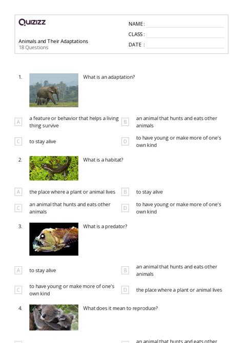 50+ animal adaptations worksheets on Quizizz | Free & Printable