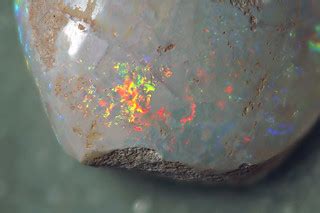 Opalized Cyrenopsis fossil bivalve (Bulldog Shale, Lower C… | Flickr