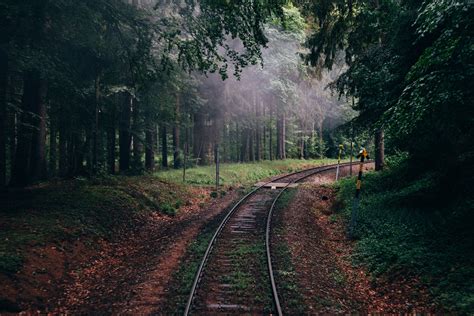 Gray train tracks, forest, nature, railway, trees HD wallpaper ...