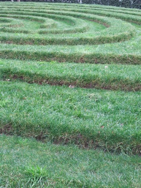 Dr Jackie Bowring - Landscape Architect | Christchurch Art Gallery Te Puna o Waiwhetū