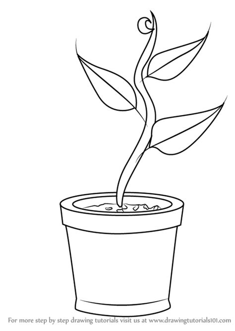 Plant Drawing For Kids at GetDrawings | Free download