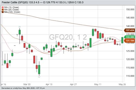 U.S. livestock: Cattle, hog futures follow equities higher - AGCanada - AGCanada