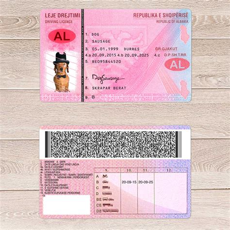 Albania Driver Licence Template - Driver license template