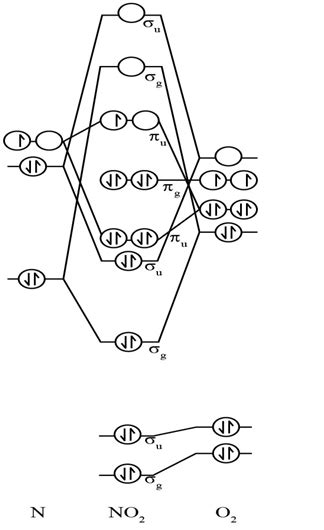 No Molecular Orbital Diagram