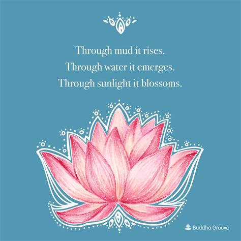 Inspiration from the Lotus Flower | Lotus flower art, Lotus flower meaning, Lotus flower painting