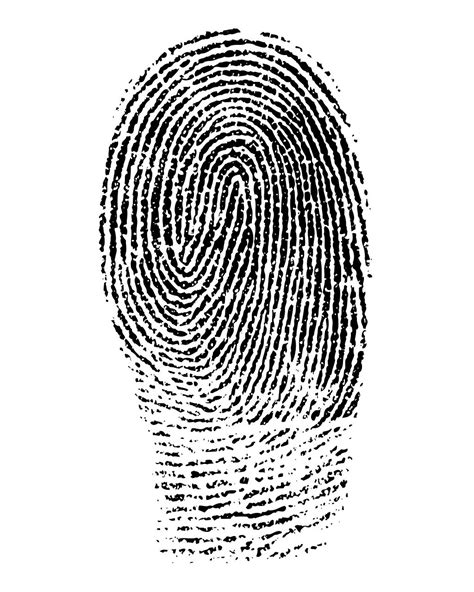 Fingerprints Are Not a Gold Standard