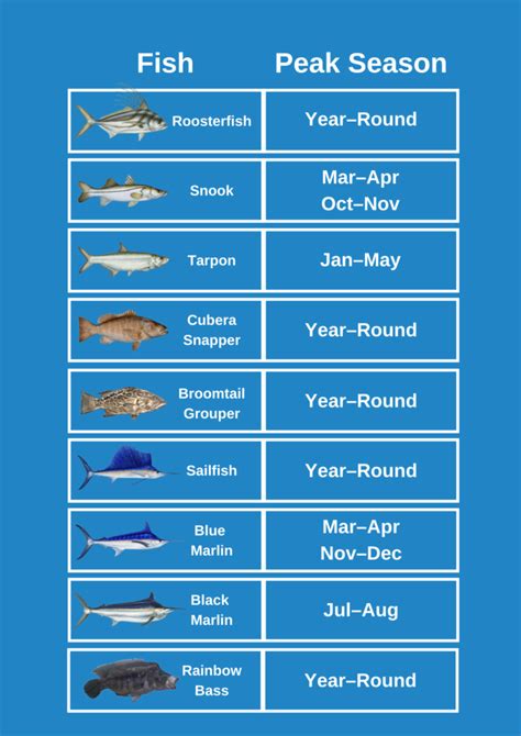 Costa Rica Fishing: The Complete Guide (Updated 2022)