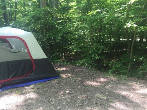 Allegany State Park Campground - UPDATED 2018 Prices, Reviews & Photos (Salamanca, NY) - TripAdvisor