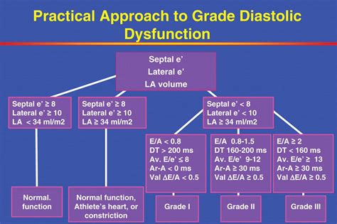 Diastolic dysfunction | Pharmacology nursing, Nursing school survival, Cardiology nursing