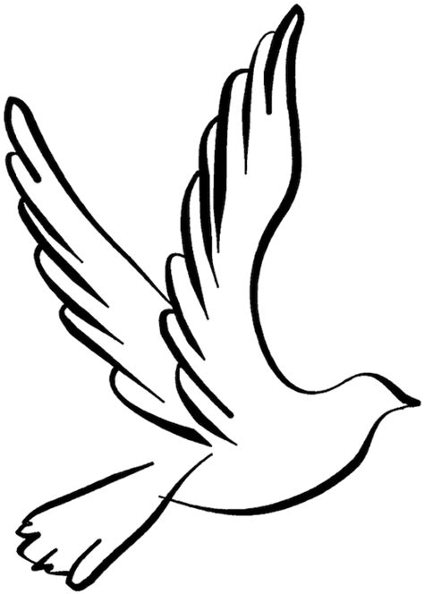 Peace Clipart Kalapati - Dove Outline Transparent Background - Png ...